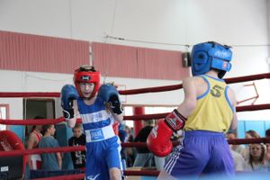 В Великих Луках прошло Первенство города по боксу (ФОТО)