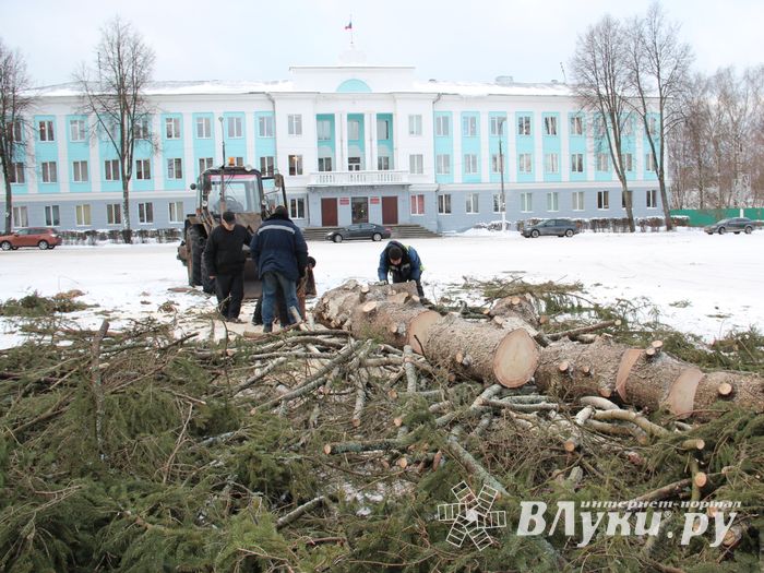 Главная городская ёлка отправилась на свалку (ФОТО)