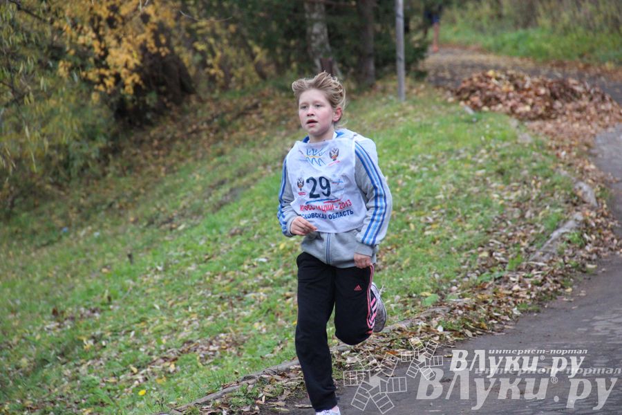 Легкоатлетический осенний кросс прошел в Великих Луках (фото)