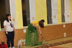 Всероссийская выставка собак в Великих Луках (фото)