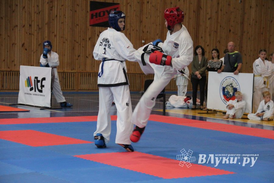 1-й Фестиваль боевых искусств состоялся в Великих Луках  (ФОТО)