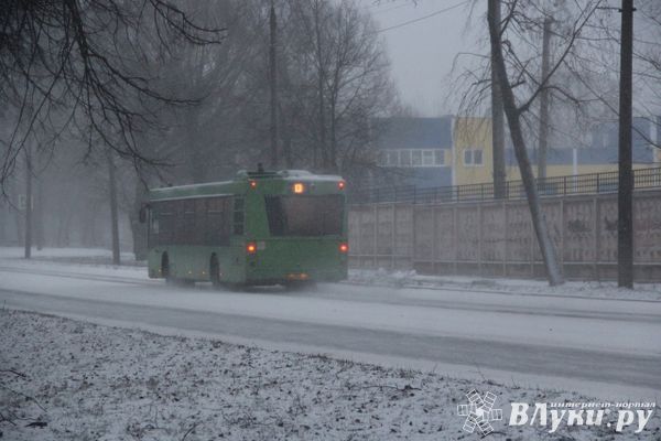 Новые автобусы будут поступать в Великие Луки