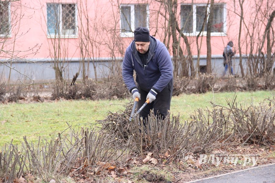 ​Великолучане могут помериться ладошками (ФОТО)