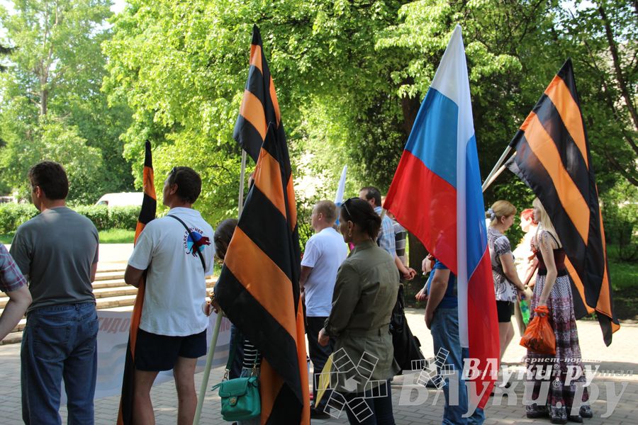 Митинг в рамках Всероссийской акции Национально-освободительного движения