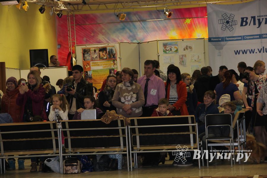 Всероссийская выставка собак в Великих Луках (фото)