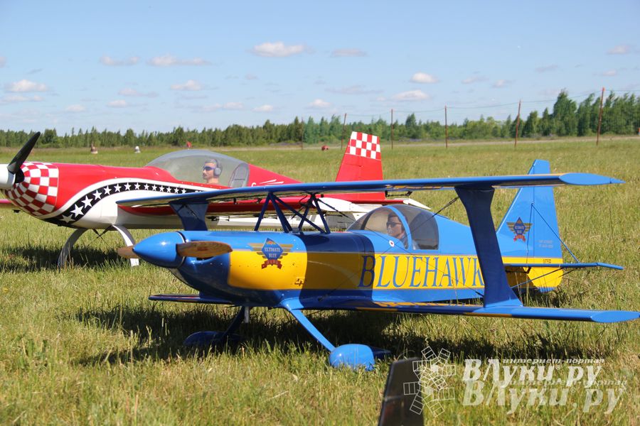 В Великих Луках прошел Фестиваль авиамодельного спорта (фото)