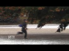 Импульс-ТВ: Новогоднюю красавицу в этом году установили ра