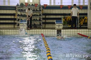 В Великих Луках прошло Первенство по плаванию (фото)