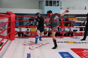 Открытый кубок по смешанному боевому единоборству ММА прошел в Великих Луках (ФОТО)