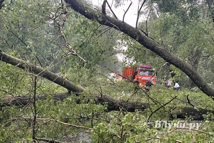 Весь ужас вчерашнего урагана в Великих Луках и районе (ФОТО, ВИДЕО)