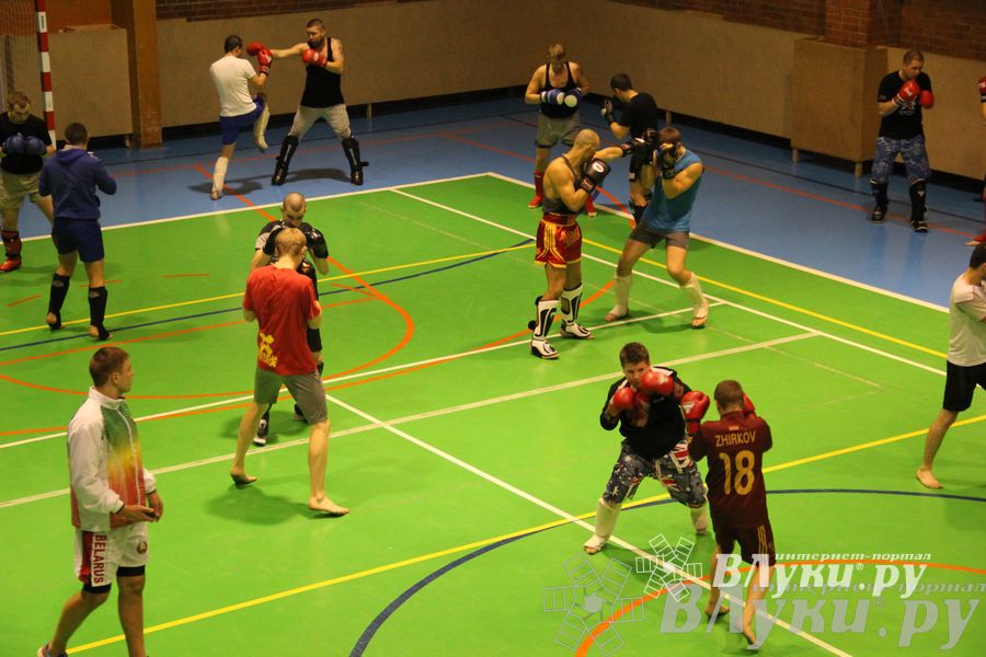 В Великих Луках прошел мастер-класс по кикбоксингу (фото)