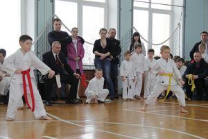 В Великих Луках прошел  турнир по Шотокан каратэ