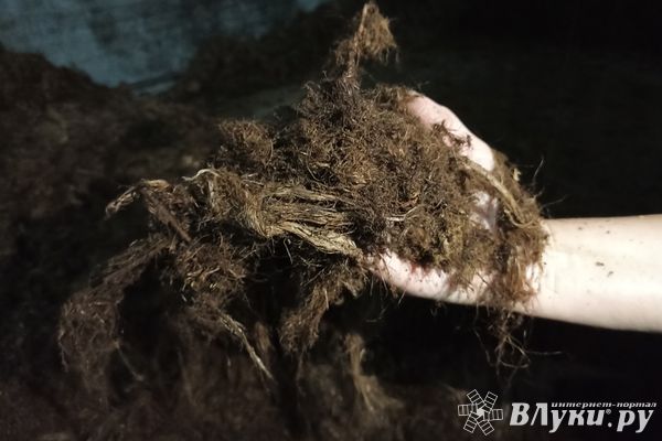 В новогодние праздники в Псковской области запрещен ввоз более 18 тонн торфа из Литвы