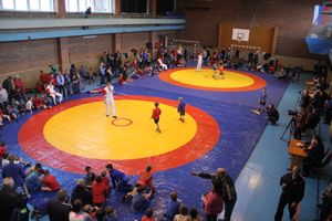 В Великих Луках прошел турнир по самбо "Память" (фото)