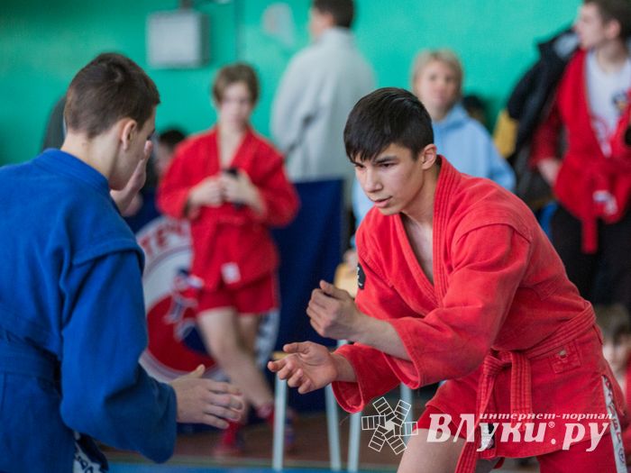Фото: Александр Воробьев Великолучане завоевали награды Всероссийских соревнований по самбо
