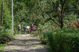 Небезразличные онвеликолучане помогают убрать город после урагана (ФОТО)