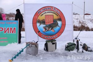 Подведены итоги Открытого чемпионата Великих Лук по рыболовному спорту (фото)