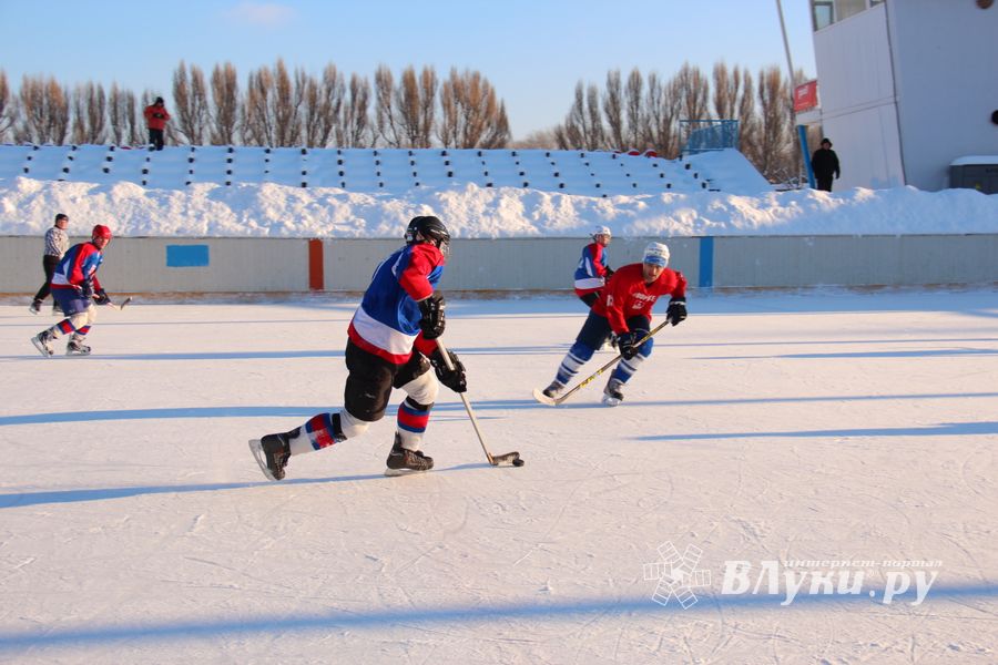 Великолукский хоккей: много забитых шайб, немного потасовок и разбитых лиц (фото)