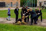 Школьники Великих Лук познакомились с работой служебных собак (ФОТО)