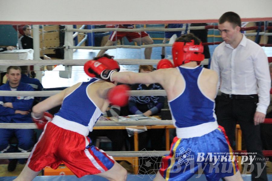 Открытое Первенство города по боксу