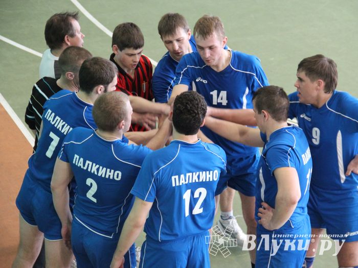 Финал чемпионата области по волейболу