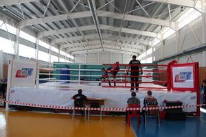 В Великих Луках проходит открытый кубок по смешанному боевому единоборству ММА (ФОТО) (12+)