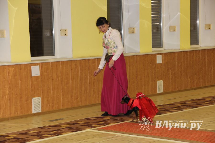 Всероссийская выставка собак в Великих Луках (фото)