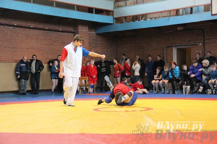 Состоялось Открытое первенство города Великие Луки по борьбе самбо