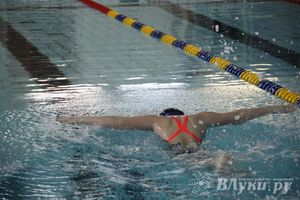В Великих Луках прошло Первенство по плаванию (фото)