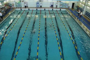 В Великих Луках прошел Чемпионат и Кубок города по плаванию (фото)