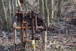 Андрей Турчак принял участие в поиске останков солдат Великой Отечественной (фото)
