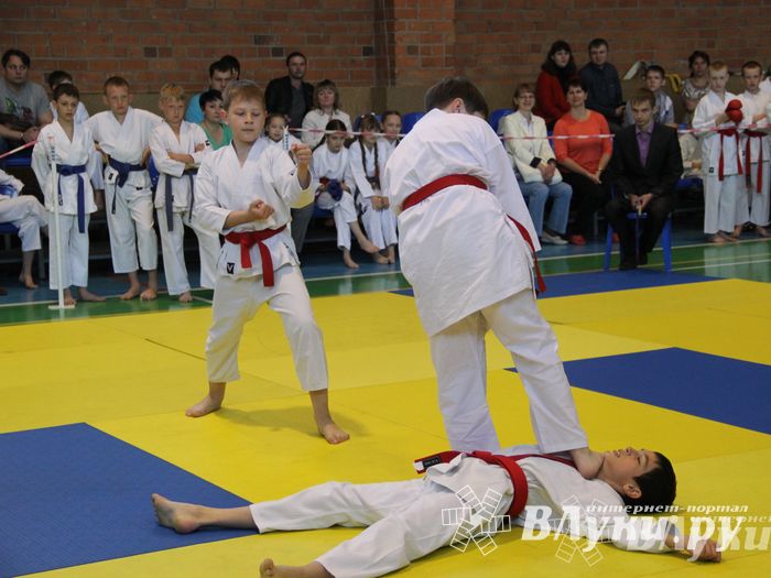 Великолучане стали победителями турнира по каратэ «Неприкосновенный запас, дети — Отчизны 2015» (фото)
