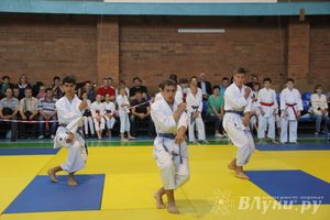 Великолучане стали победителями турнира по каратэ «Неприкосновенный запас, дети — Отчизны 2015» (фото)