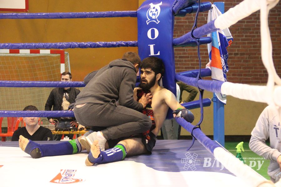 В Великих Луках прошел международный открытый Кубок по смешанному боевому единоборству (ФОТО) (16+)