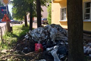 Ремонт прошел, мусор остался (ФОТО)