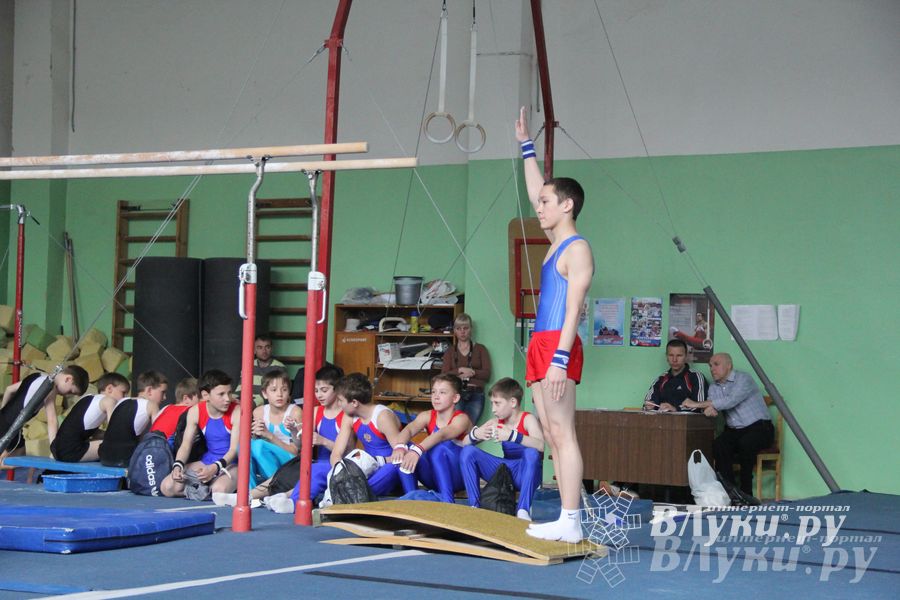 В Великих Луках прошел турнир по спортивной гимнастике (фото)