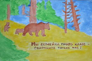 Школы Псковской области провели экологический конкурс рисунков и эссе