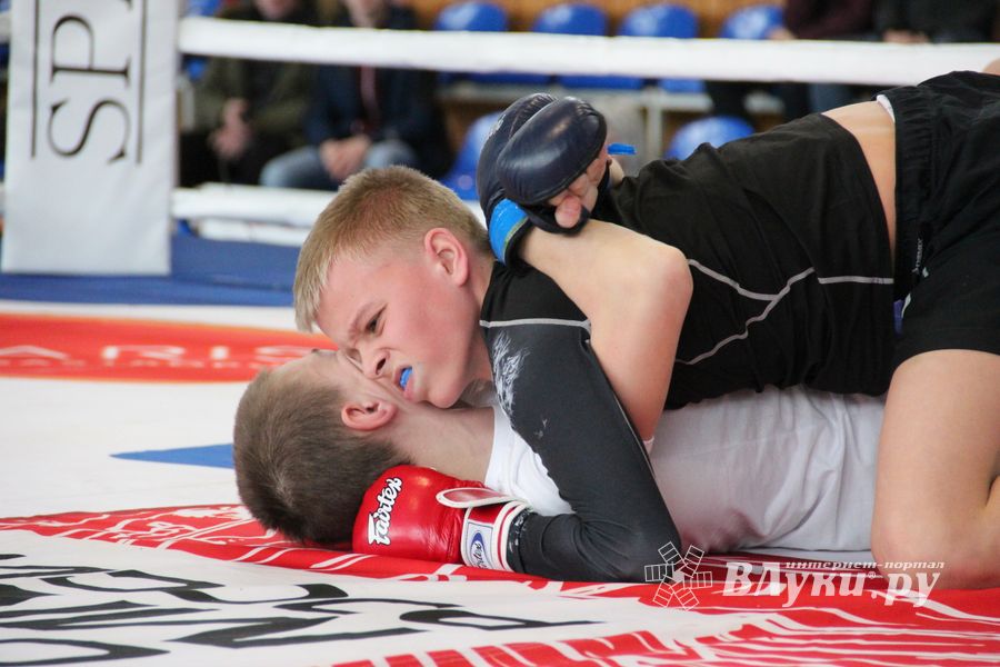 Открытый кубок по смешанному боевому единоборству ММА прошел в Великих Луках (ФОТО)