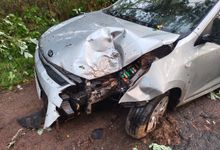В Великолукском районе автомобиль врезался в дерево (ФОТО)