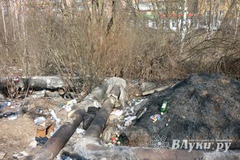 При пожаре на теплотрассе в Великих Луках погиб человек (фото)