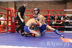 В Великих Луках прошел межрегиональный Открытый Кубок по смешанному боевому единоборству (фото)