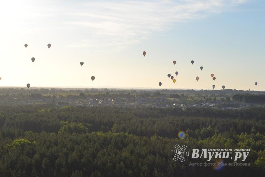 Автор фото: Жанна Лосева