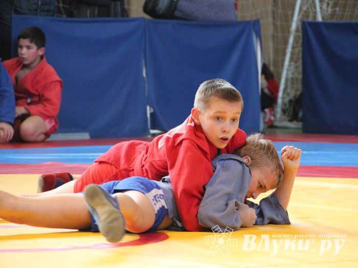 Великолучане завоевали награды турнира по самбо «Память» (ФОТО)