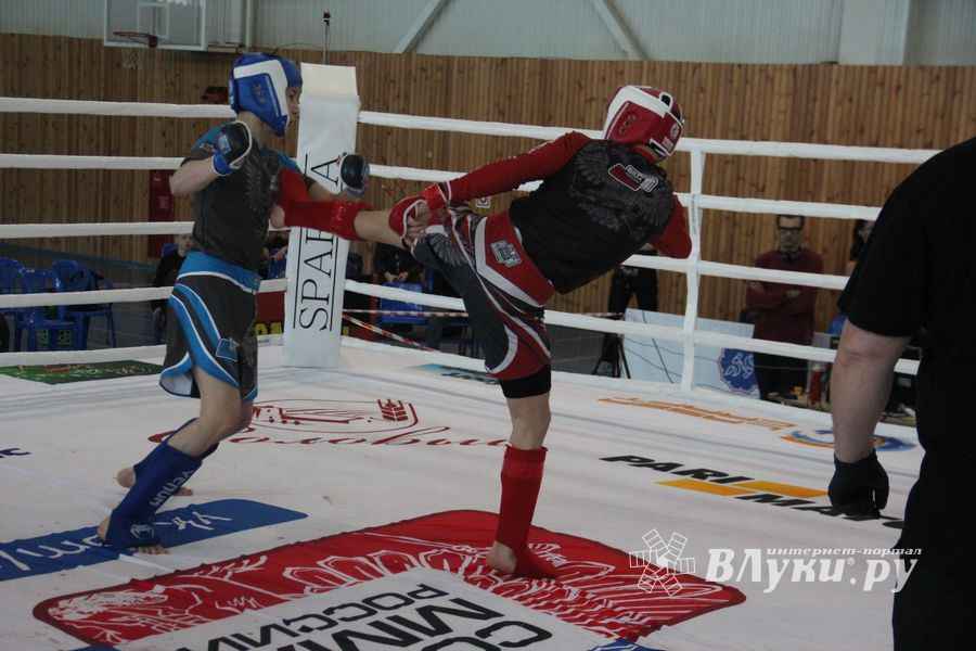 В Великих Луках завершилось Первенство России среди юношей по смешанному боевому единоборству ММА (ФОТО)