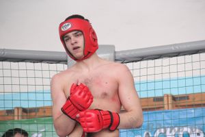 Первый чемпионат и первенство Псковской области по смешанным боевым искусствам «ММА»