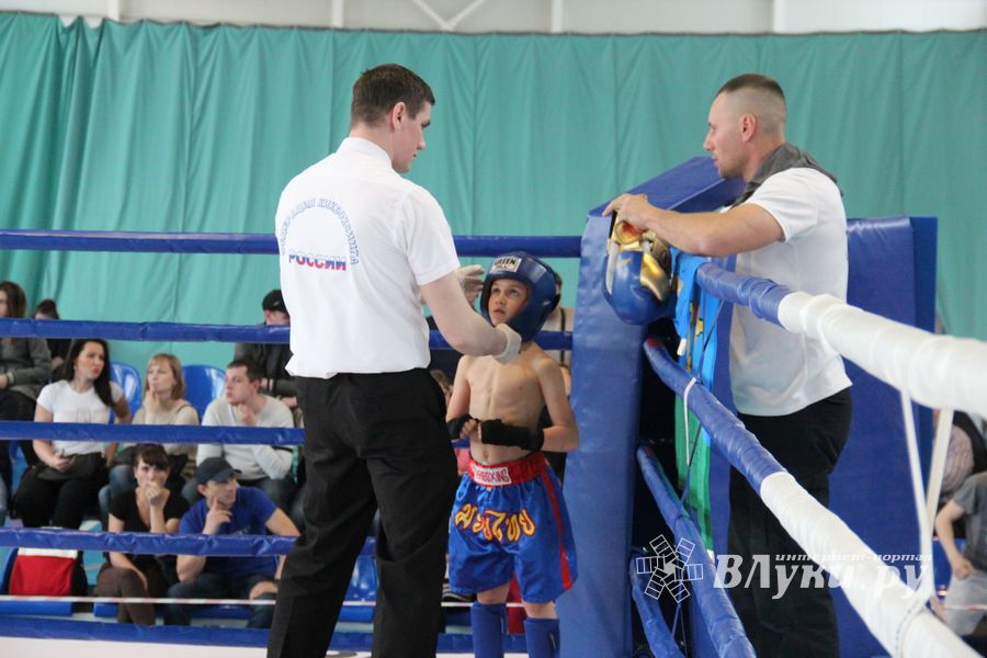 В Великих Луках прошел Кубок области по кикбоксингу (ФОТО)