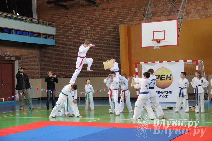 В Великих Луках прошло Первенство по тхэквондо (фото)