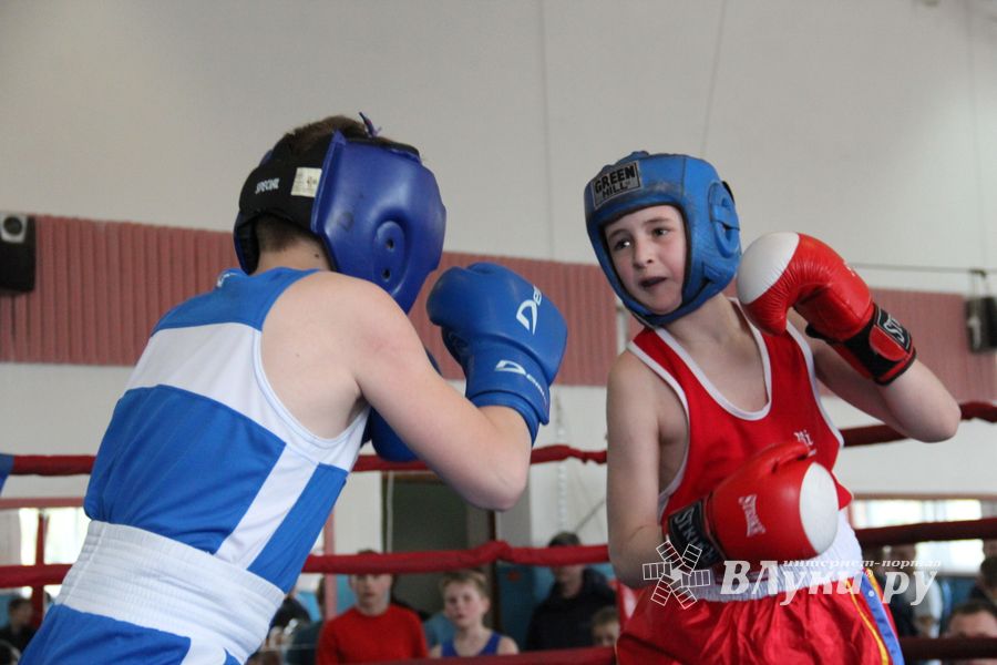 В Великих Луках прошло Первенство города по боксу (ФОТО)