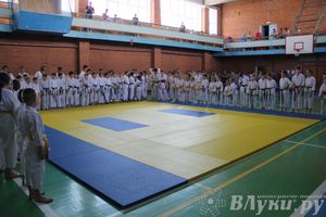 Турнир по каратэ