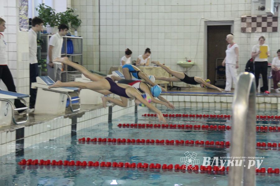 В Великих Луках прошло Первенство города по плаванию (фото)